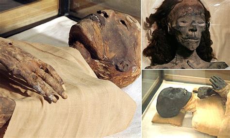 pharaohs didn t stray far for sex scientists find proof of incest in differences in height of