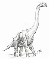 Brachiosaurus Dinosaurios Dinosaur Colossal Dinosaurs Colorear Dibujos Realistas Dinosaurio sketch template