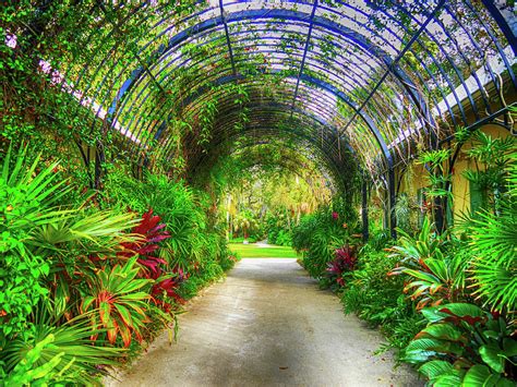 Mckee Botanical Garden Xxx Digital Art By Tina Baxter Fine Art America