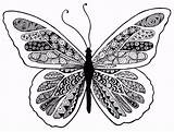 Zentangle Butterfly Coloring Choose Board sketch template