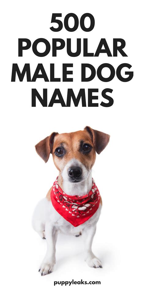 popular male dog names