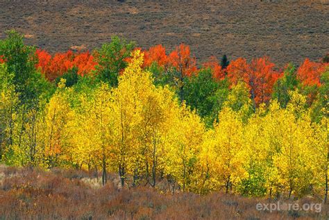 stuebys outdoor journal fall colors  popping