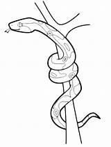 Serpente Ramo Coloradisegni Animali Pages2color Climbs sketch template