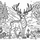 Deer Coloring Pages Animals Print sketch template