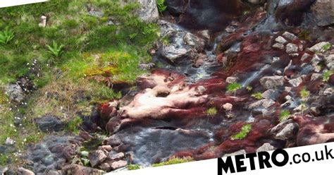 weird pink blobs spotted in scotland could be alien life form metro