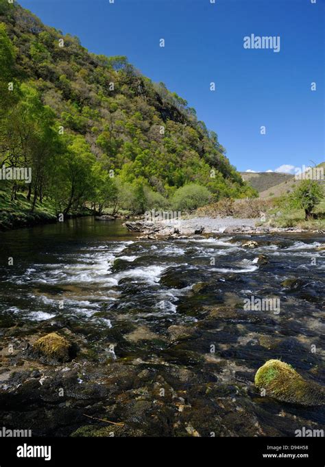 river tywi rspb dinas llandovery central wales stock photo alamy