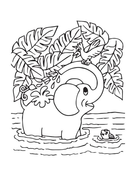 elephant coloring pages   printable  verbnow