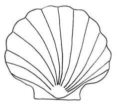 image result  seashell template  printable seashell template