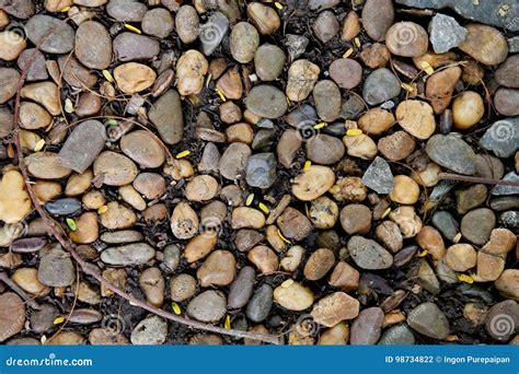 stone path texture  garden stock photo image  pavement outdoor