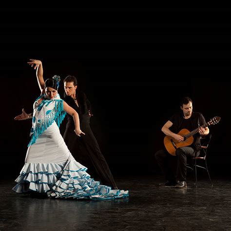 flamenco banque d images et photos libres de droit istock