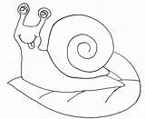 Snail Schnecke Caracoles Siput Ausmalbilder Mewarnai Daun Ausmalbild Continents Diatas Anak Paud Hitam Ubi Malvorlagen Contoh sketch template