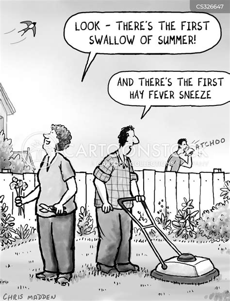 first swallow cartoons and comics funny pictures from