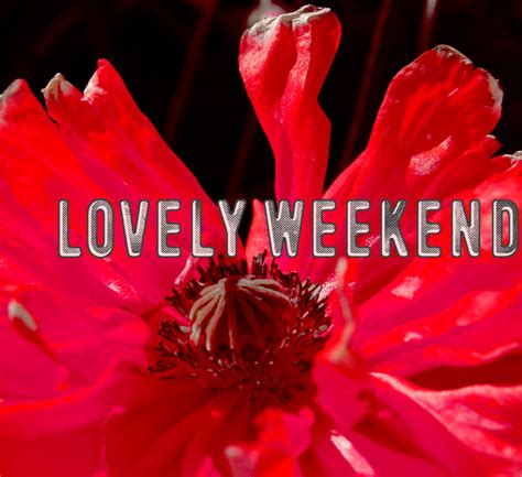 lovely weekend font