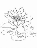 Coloring Flower Pages Lotus Printable Drawing Kids sketch template