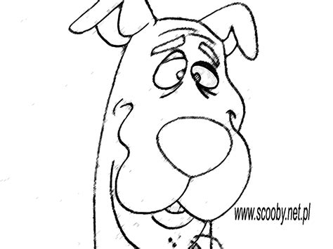 drawing scooby doo  cartoons printable coloring pages