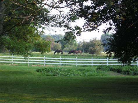 kentucky home   kentucky home ponies golf courses field pony