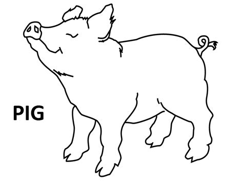 coloring pages  flying pigs