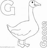 Goose Coloring Pages Mother Printable Sheets Color Visit Getcolorings Printables sketch template