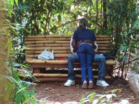 Kenya S Famous Sex Garden Muliro Gardens Romance Nigeria
