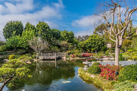 Japanese Garden Cal State Long Beach