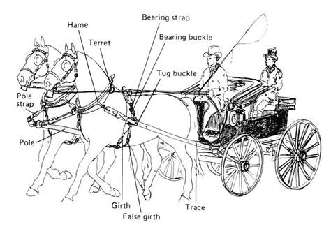 draw  horse drawn wagon traditionaltattooartdrawing
