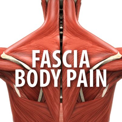 dr oz fascia body pain  foam roller  pain workout remedy