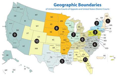 px uscourtofappealsanddistrictcourtmapsvg luat khoa