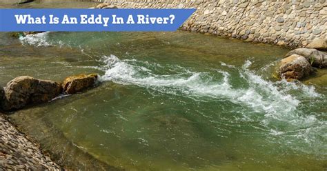 eddy   river eddies explained water currents whirlpools