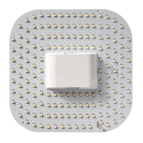 bell led    pin cool white grq