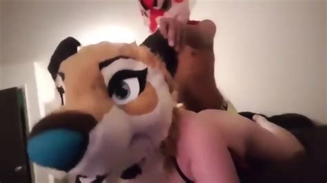 fursuit mating 2 eporner