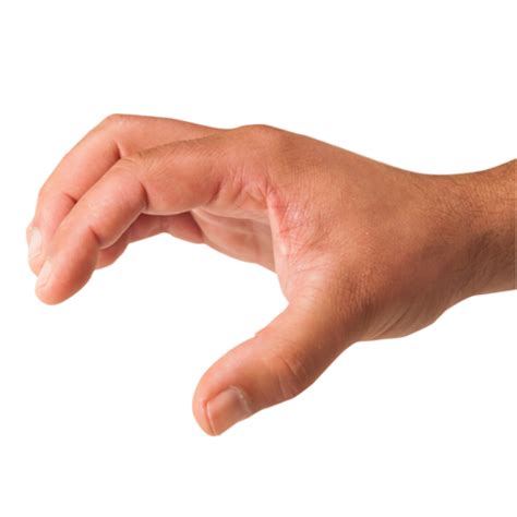 hand png image purepng  transparent cc png image library
