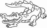 Crocodile Crocodiles Ko sketch template