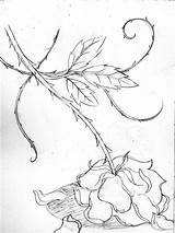 Roses Dead Drawing Rose Upside Down Getdrawings sketch template