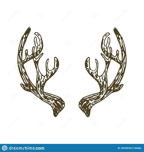 reindeer antlers illustration stock vector illustration  rough
