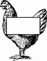 Clipart Chicken Hen Coloring Webstockreview Frame Big Prev sketch template