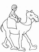 Camel Man Riding Colornimbus Drawing Coloring sketch template