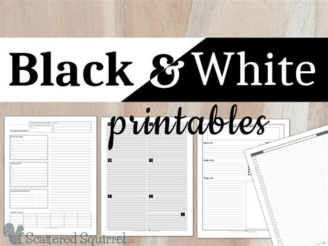 keeping  simple   black  white printables scattered squirrel