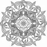 Coloring Adult Nature Mandalas Haven Creative Pages Printable Mandala sketch template