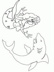 dolphins  coloring pages coloring home