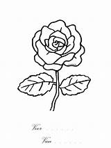 Kleurplaten Liefde Roos Liebe Tekening Tekeningen Tekenen Animaatjes Valentijnsdag Cupidos sketch template