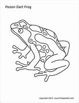 Frog Dart Poison Coloring Printable Frogs Pages Posion Poisonous Rainforest Firstpalette Drawing Draw Animal Template Baby Theme Templates Colorful Crafts sketch template