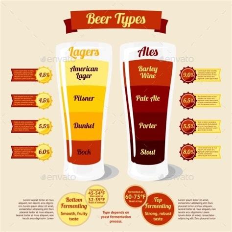 types  beer infographic beer infographic beer types types  beer