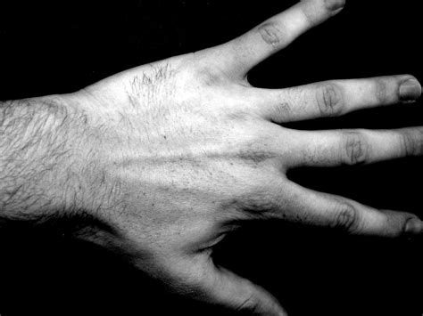 black hand   photo  freeimages
