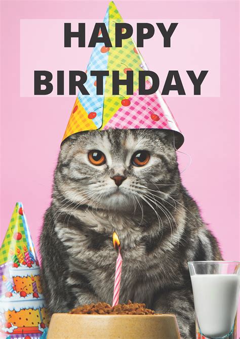 happy birthday cat greeting card cute grey grumpy cat etsy uk