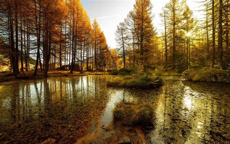 lake forest landscape nature autumn reflection wallpapers hd desktop  mobile backgrounds