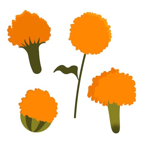 premium vector orange flower