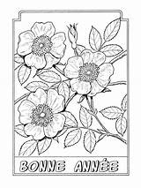 Annee Dover Adulte Dogrose Blumen Docx Mentions Légales Designlooter Erwachsene Coloriages sketch template