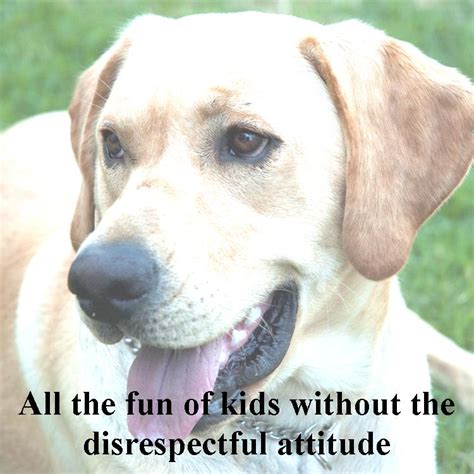 dog sayings quotes  phrases  dogs wishes messages sayings