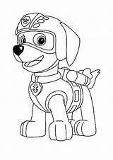 Zuma Colouring Patrouille Patrulla Canina Coloring1 Marshall Infantis sketch template