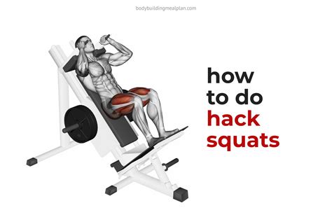 hack squats foot placement  proper form
